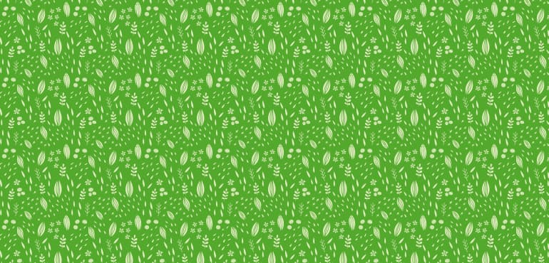 single-campaign-img-1