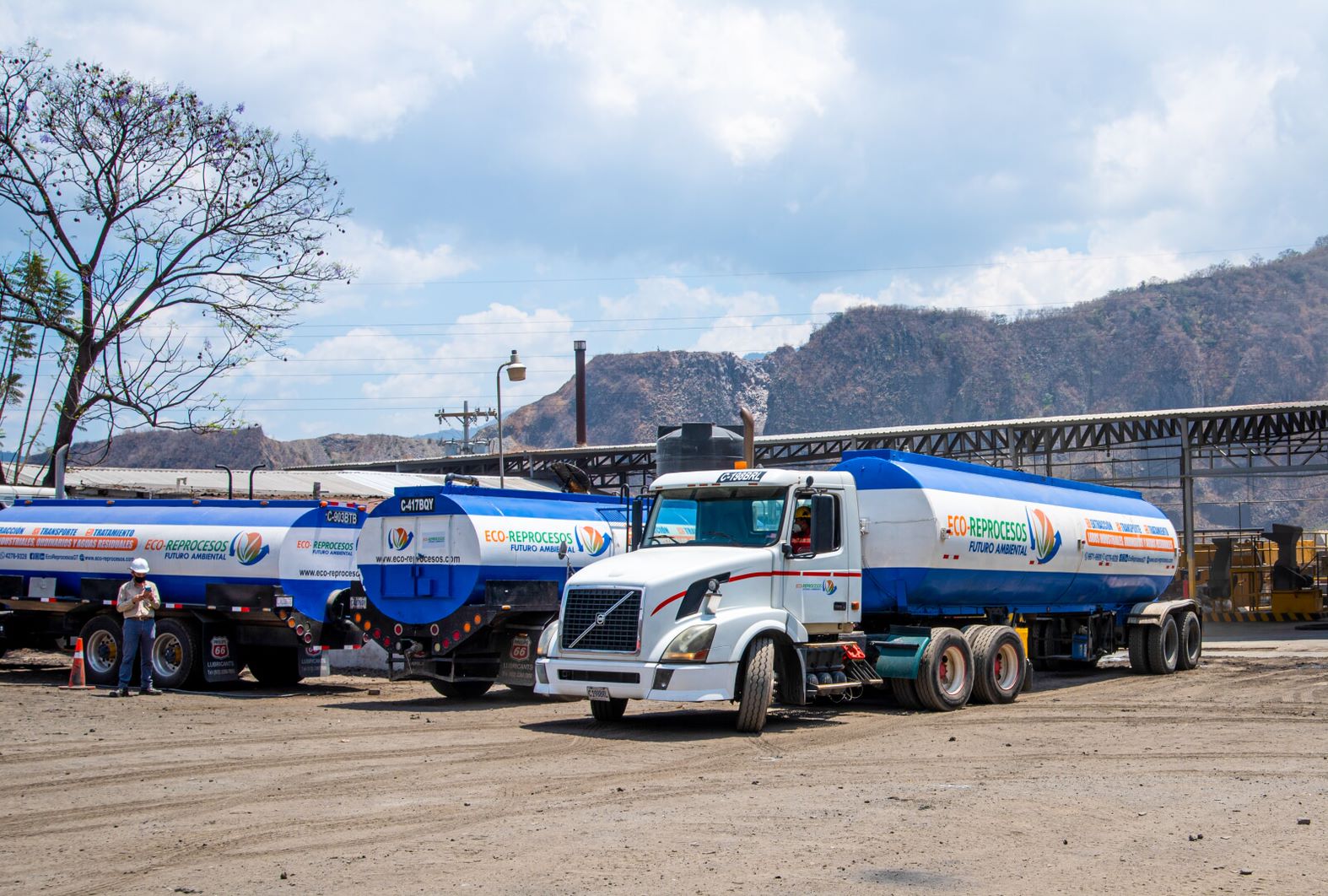 about-greenforet-img